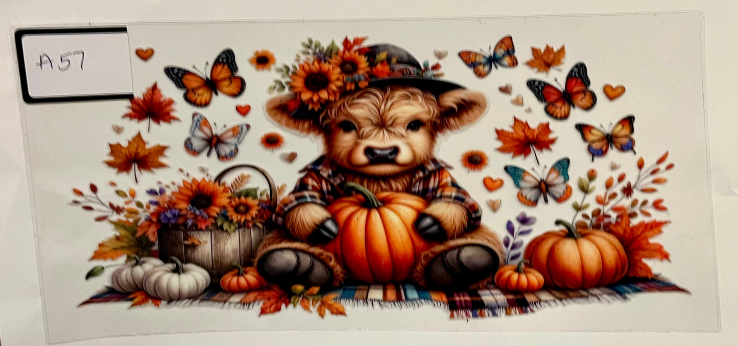 Animal wraps (Highland cows, sea animals, pigs, etc)