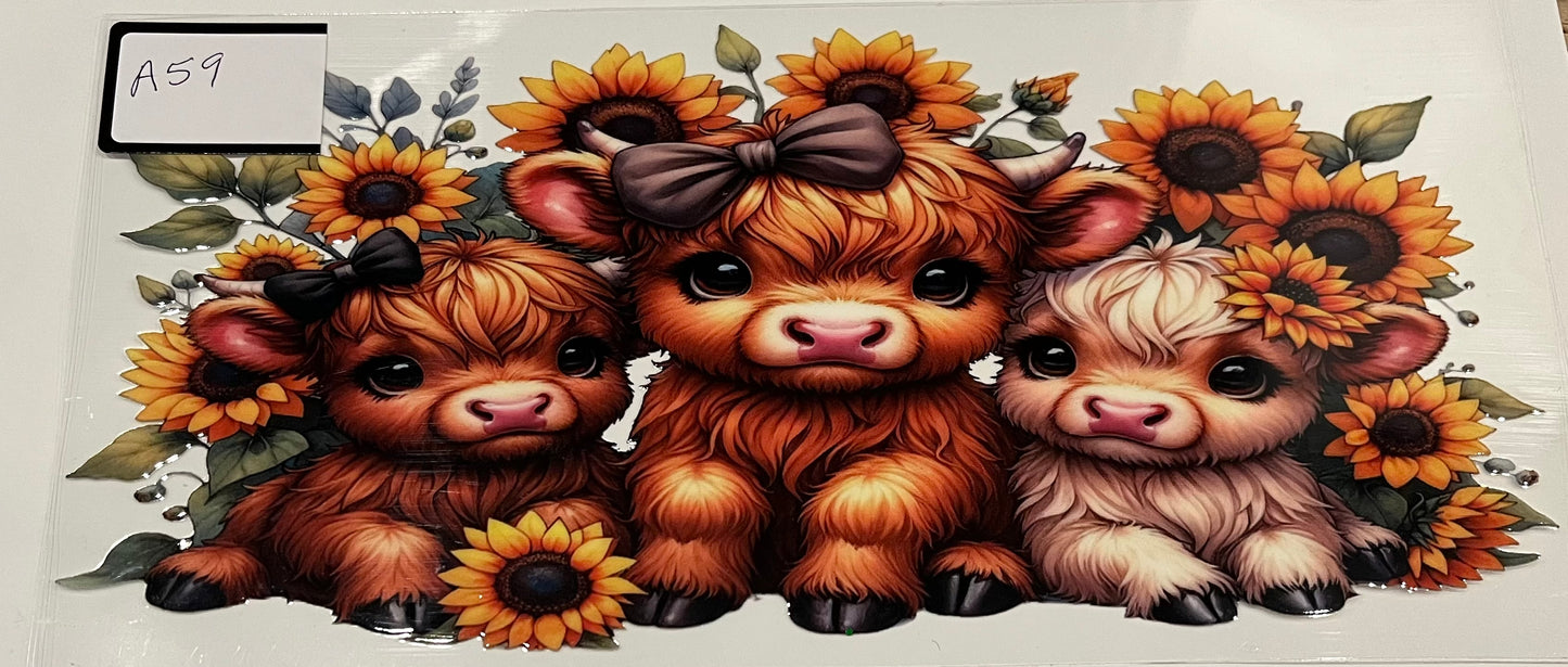 Animal wraps (Highland cows, sea animals, pigs, etc)