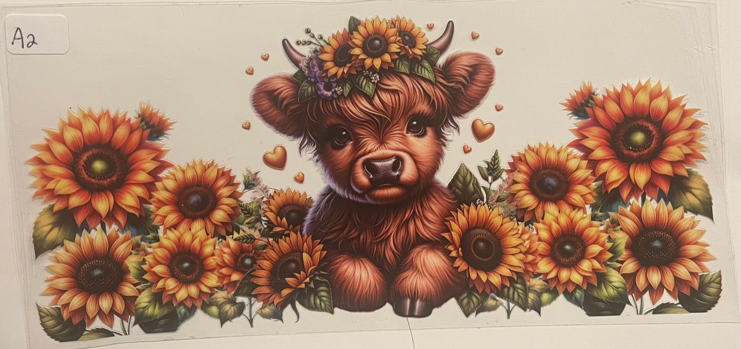 Animal wraps (Highland cows, sea animals, pigs, etc)